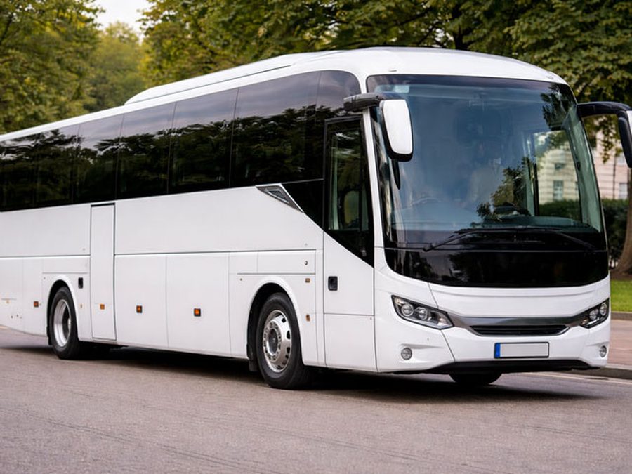 Coach